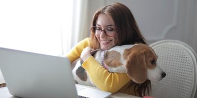 Unleashing Wellbeing The Positive Impact of Dogs on Mental Health