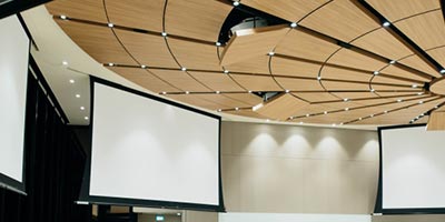 Planning and Delivering a Conference
